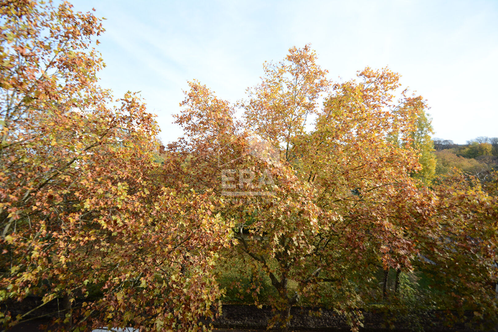 Photo Appartement Vanves 3 pièce(s) 72 m² Vue dégagée image 4/6