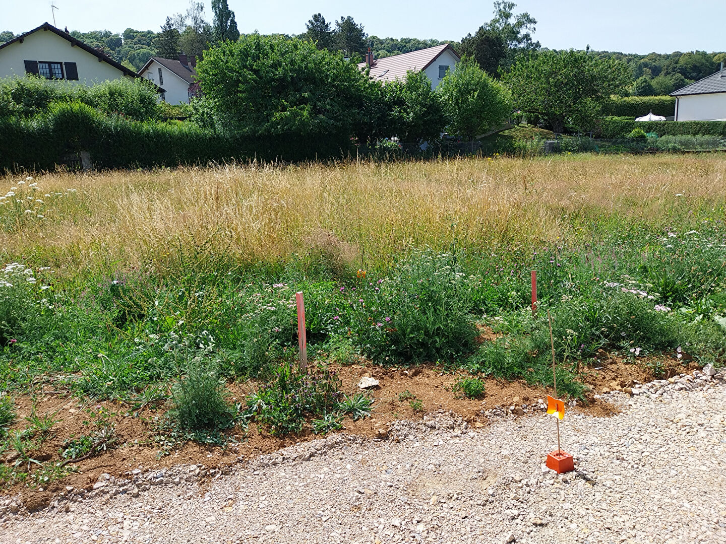 Photo Terrain Tallenay 746 m2 image 3/5