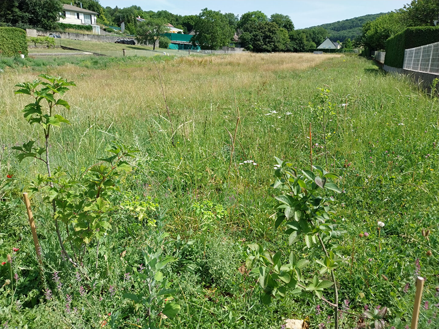 Photo Terrain Tallenay 746 m2 image 2/5