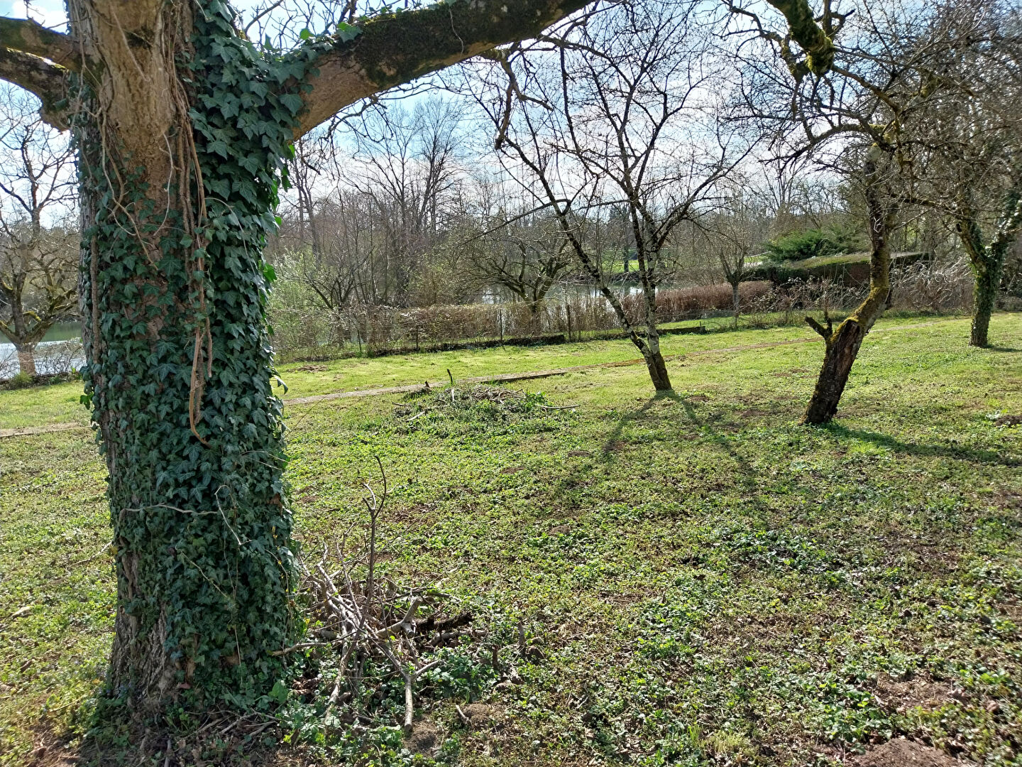 Photo Terrain Boulot 532 m2 image 3/4