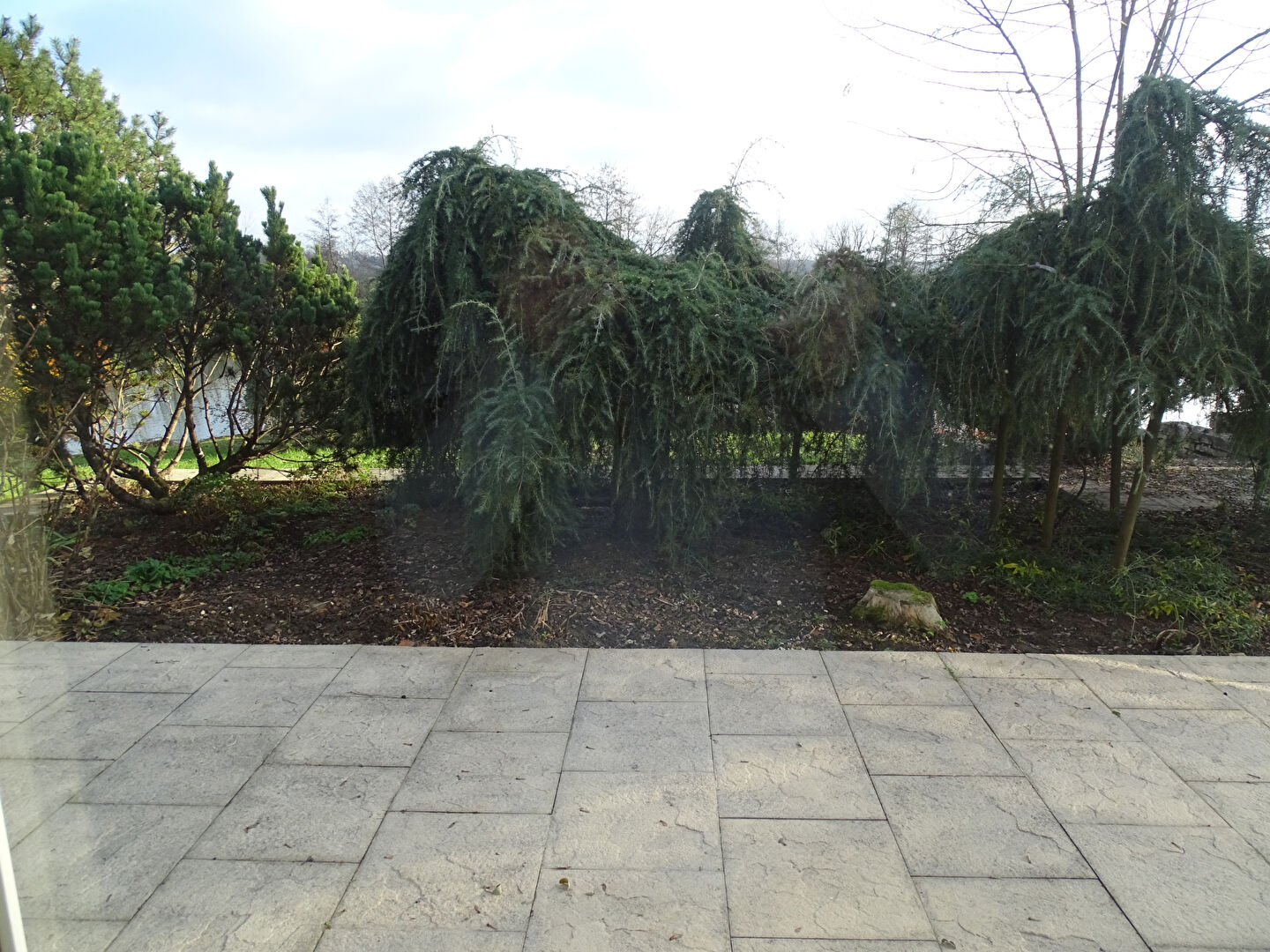 Photo Maison Arc Les Gray 8 pièce(s) 234 m2 image 6/6