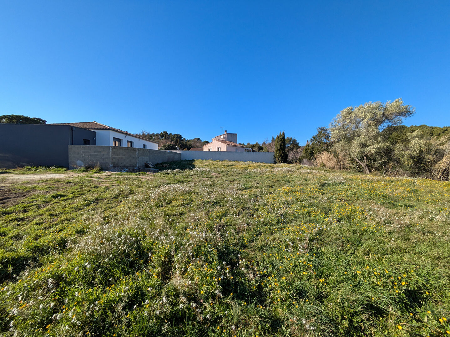 Photo Terrain constructible Lezignan Corbieres 565 m2 image 2/5