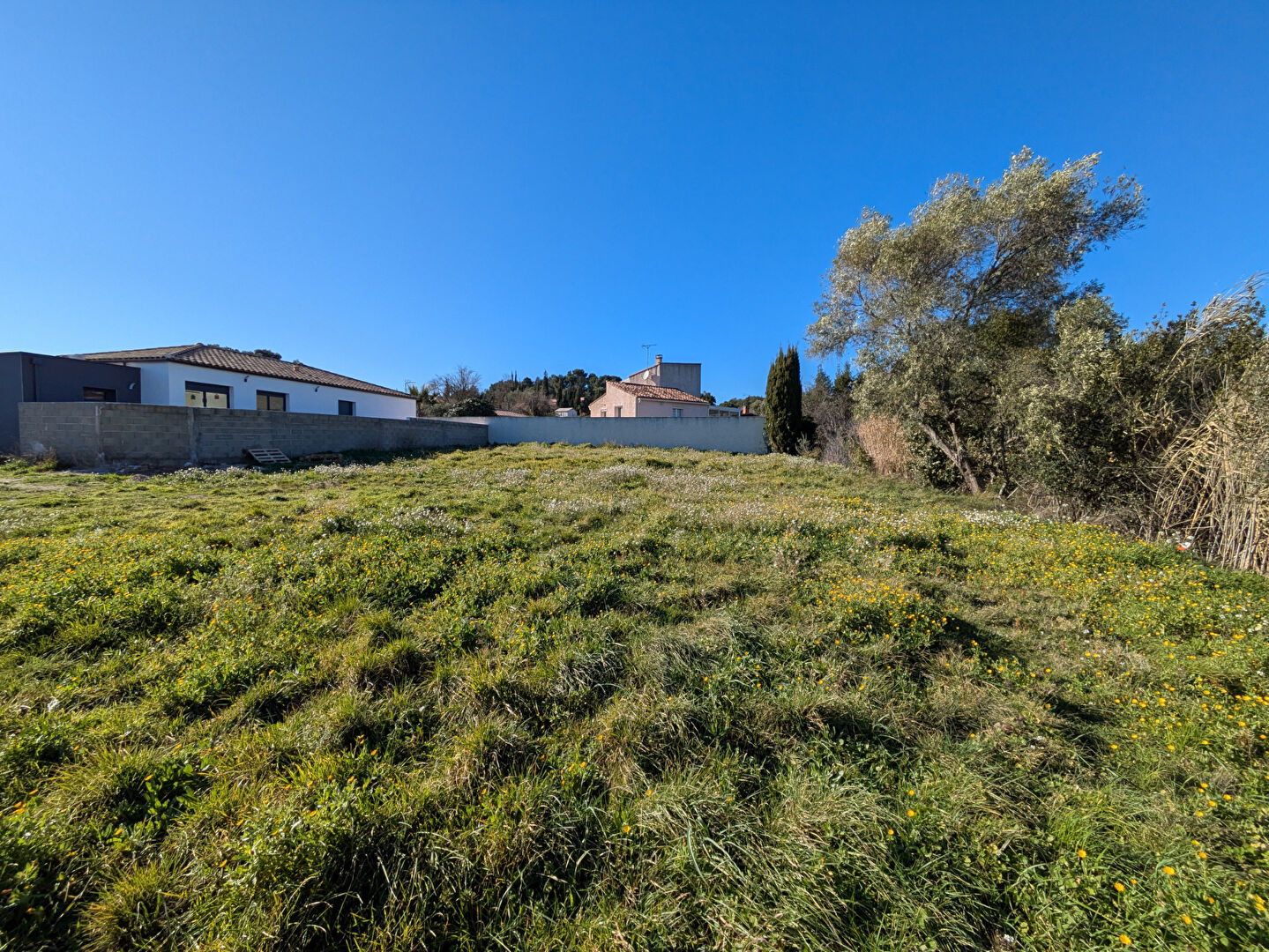 Photo Terrain constructible Lezignan Corbieres 565 m2 image 3/5