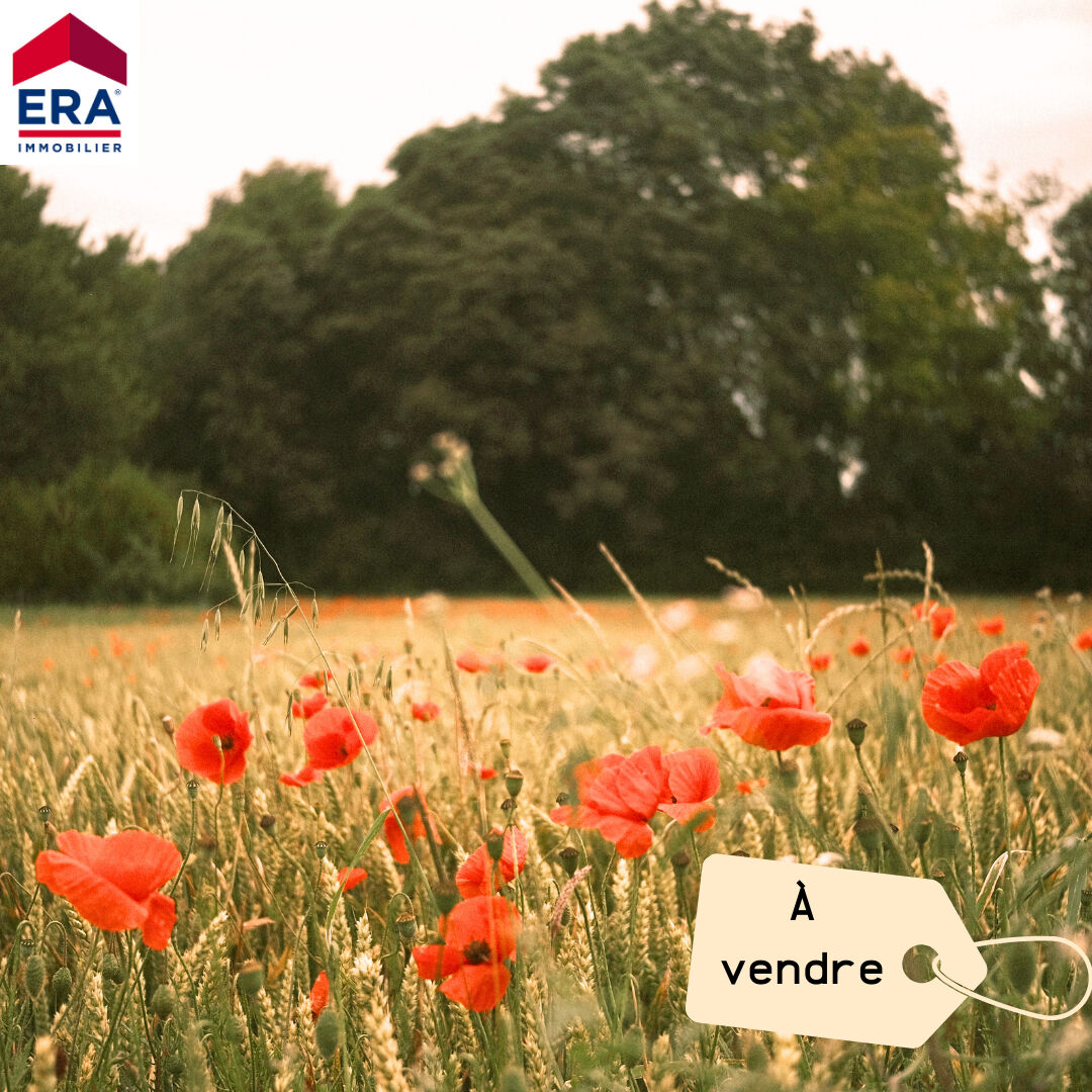 Photo Terrain Le Barp 805m² Libre de Constructeur image 2/2