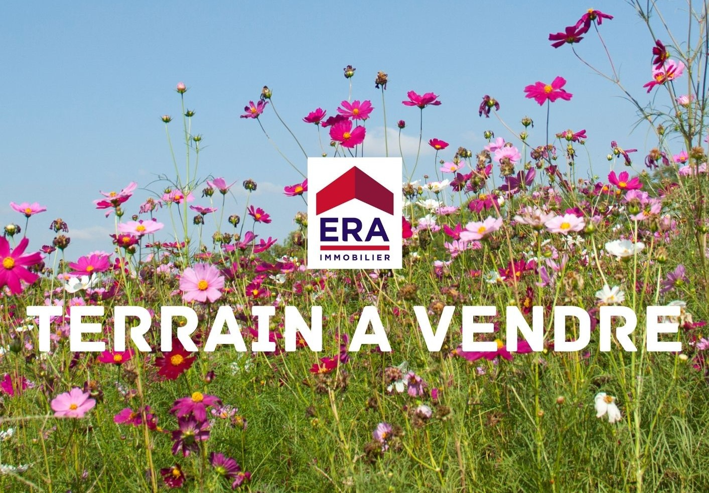 Terrain Belin Beliet 445 m2