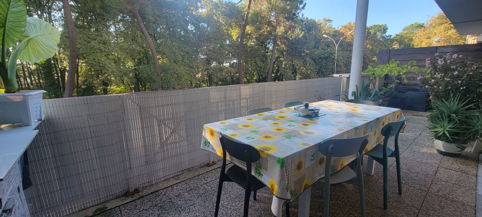 Appartement Gujan-Mestras 3 pièce(s)