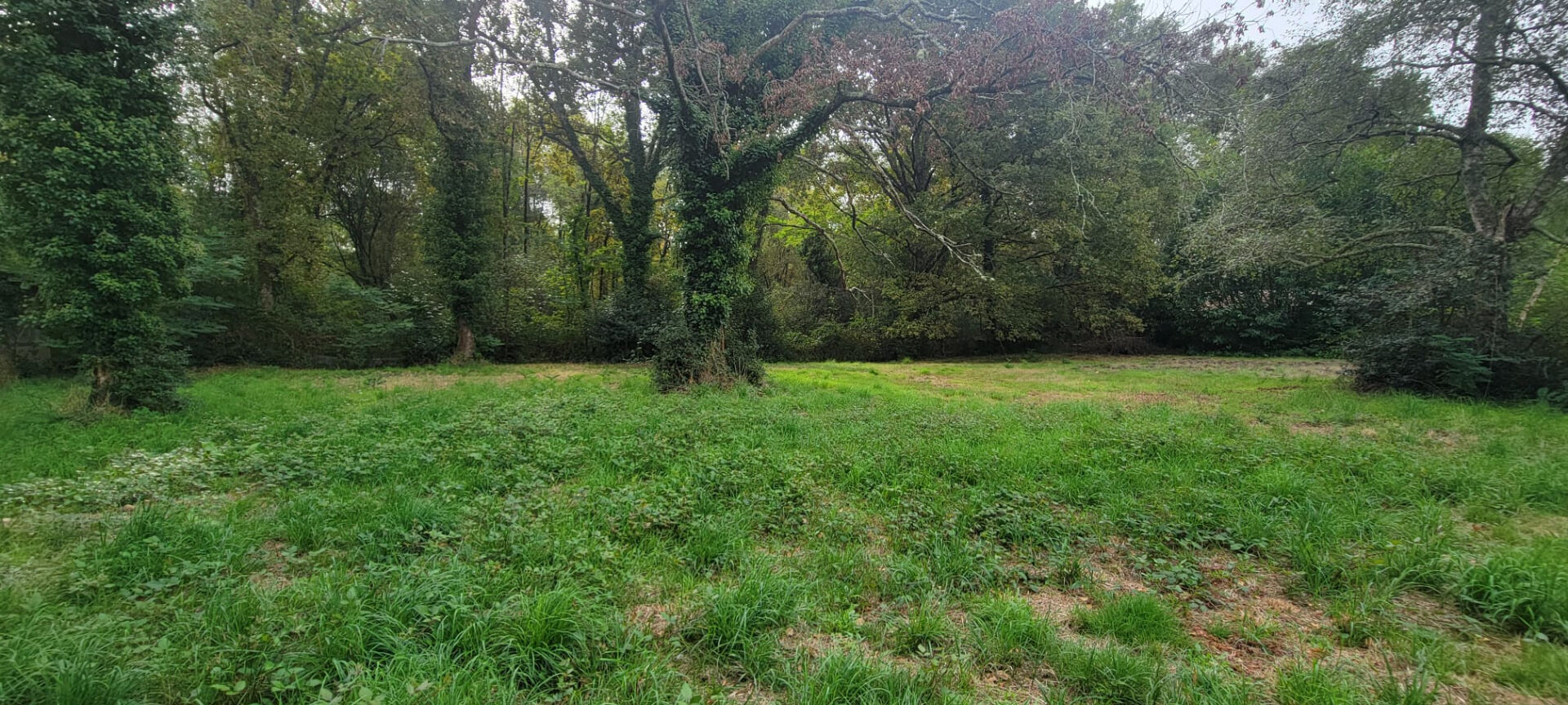 Terrain Lacanau de Mios