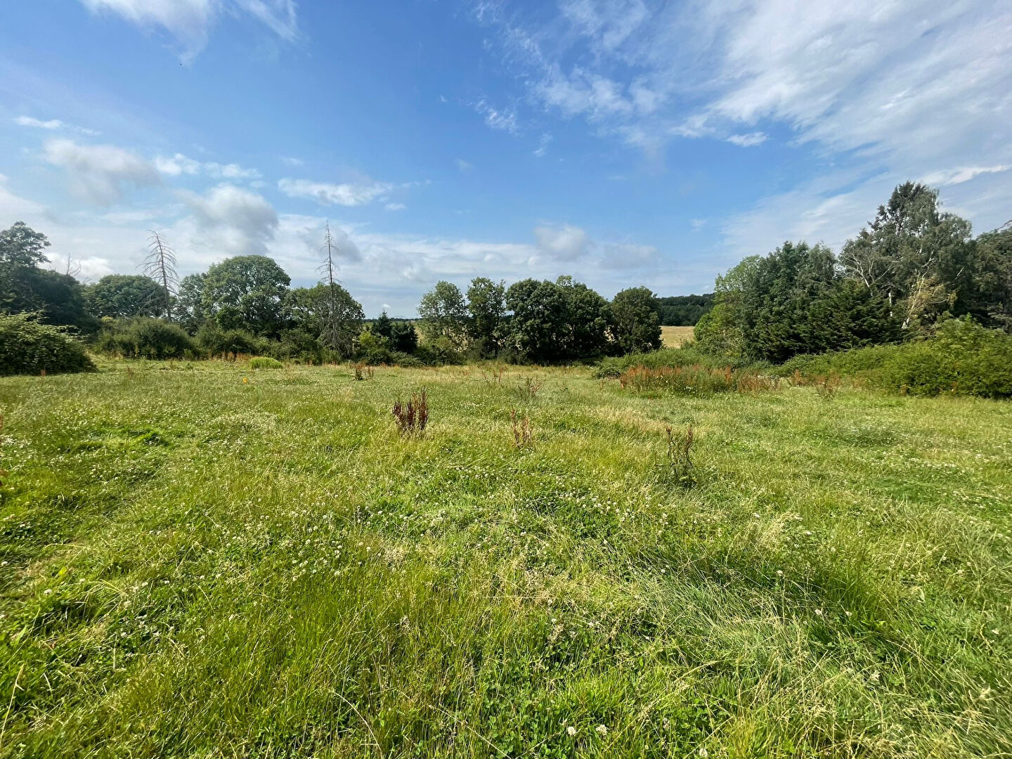 Terrain Janvry 1407 m2