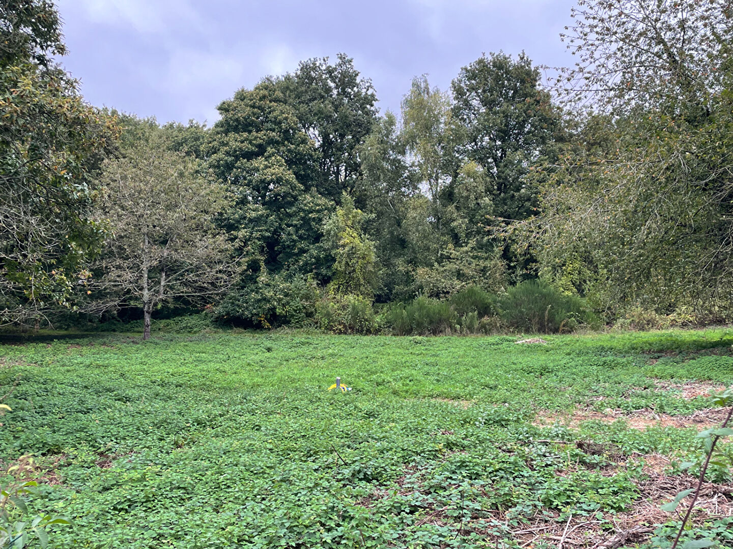 Terrain Marcoussis 2003 m2