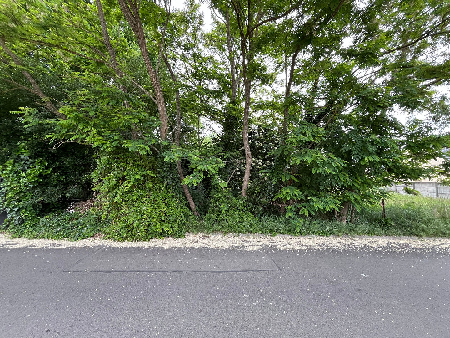 Terrain Saint Germain Les Arpajon 346 m2