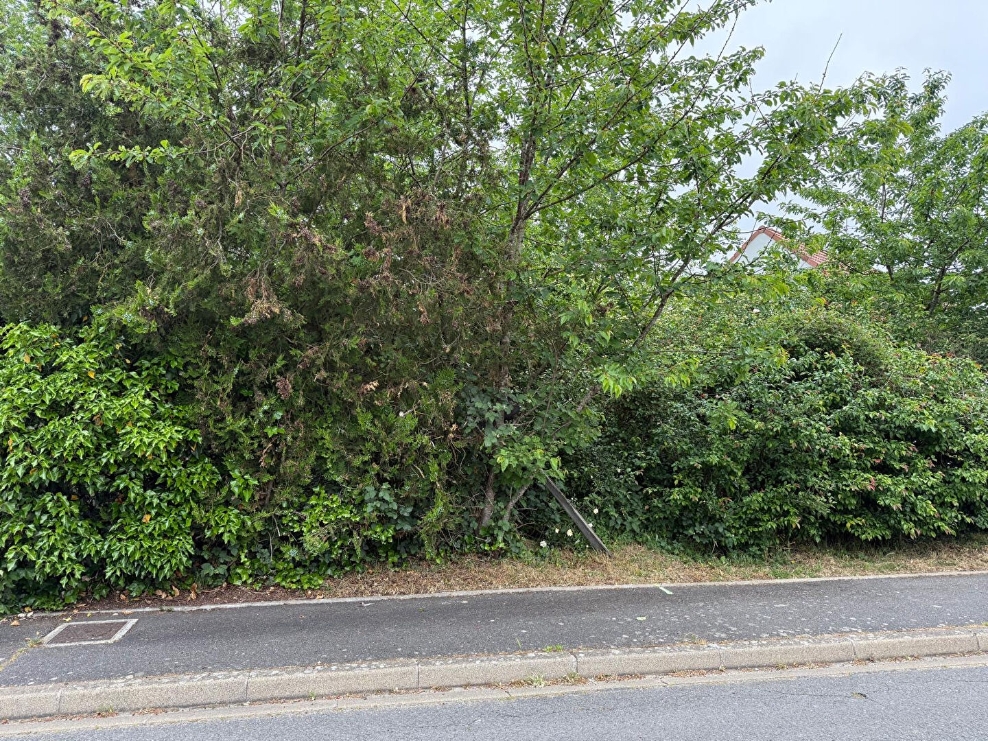 Photo Terrain Saint Germain Les Arpajon 2626 m2 image 1/2