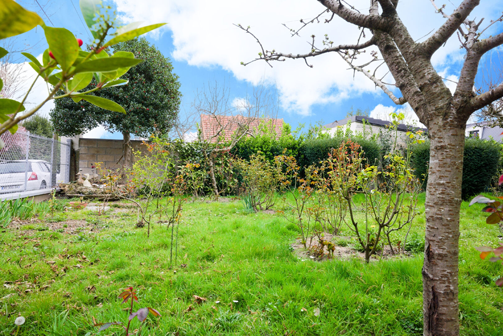 Photo MAISON SAINTE GENEVIEVE DES BOIS - SOUS-SOL TOTAL - VERANDA image 2/6