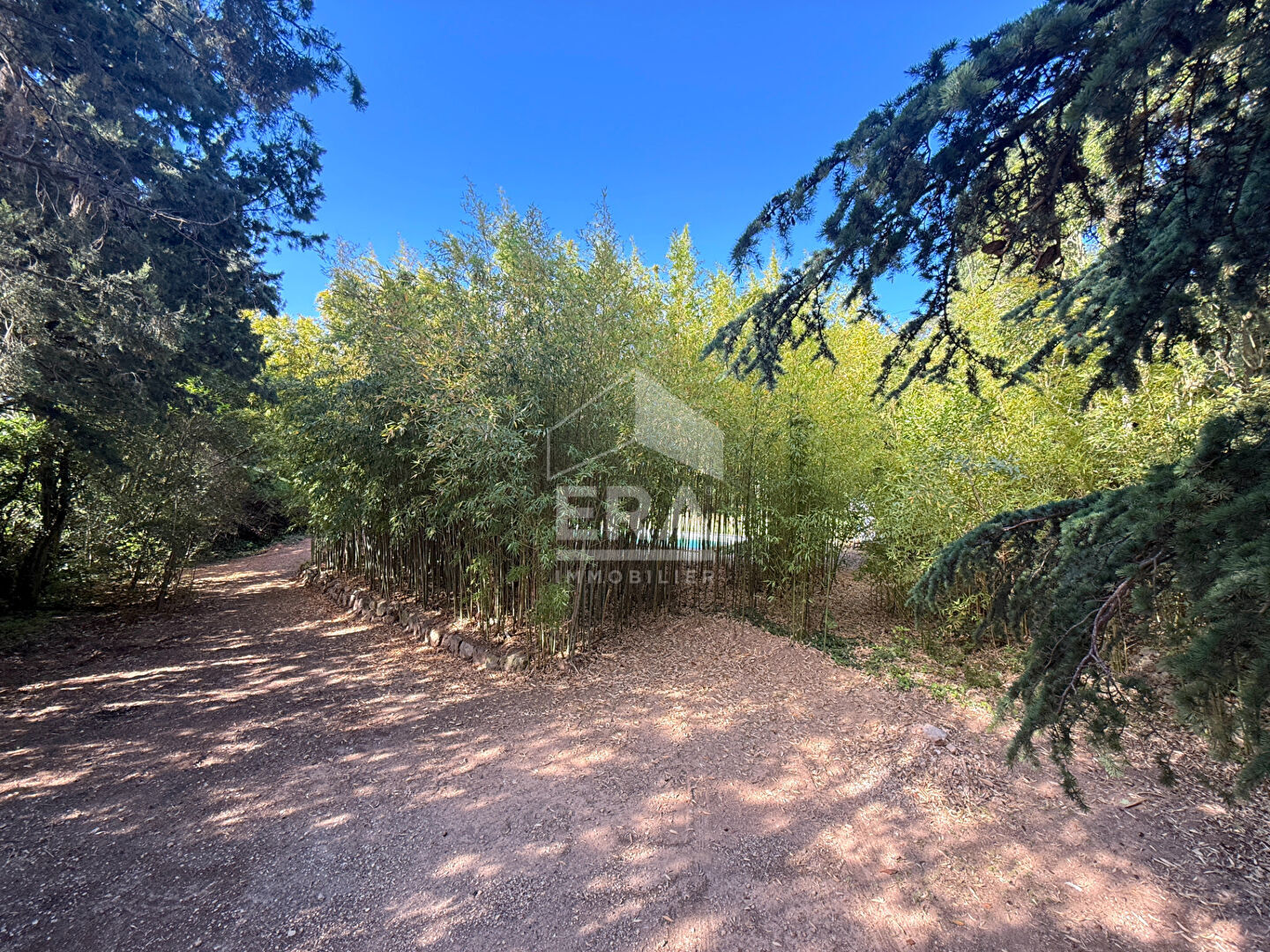 Photo Terrain Bouc Bel Air 1000 m2 image 2/5