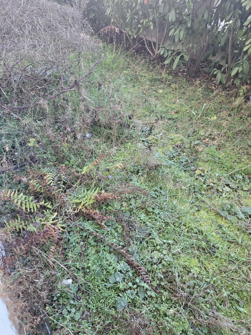 Photo BELLES PRESTATIONS image 4/4