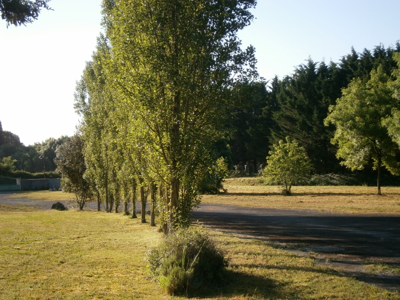 Photo Migre 300 m2 image 2/6