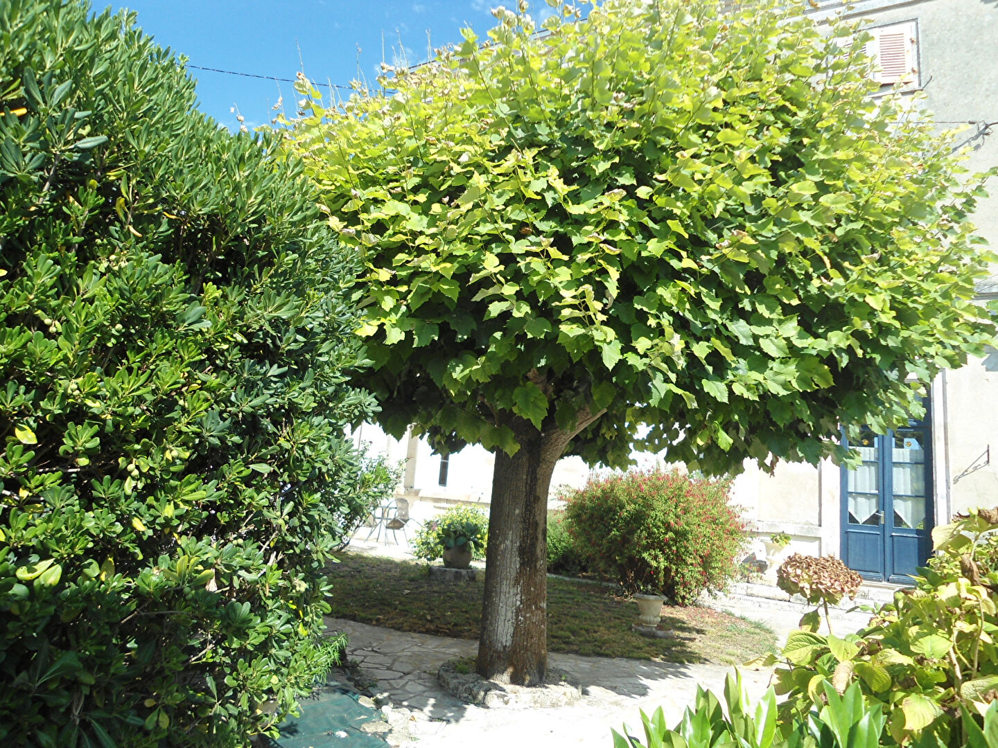 Photo Maison Surgères 17700 image 2/6