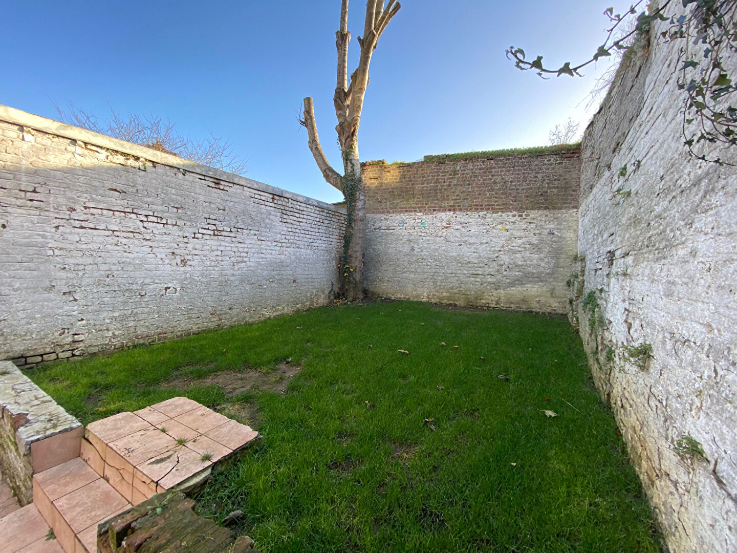 Photo Maison Saint Quentin 62 m2 jardin image 2/5