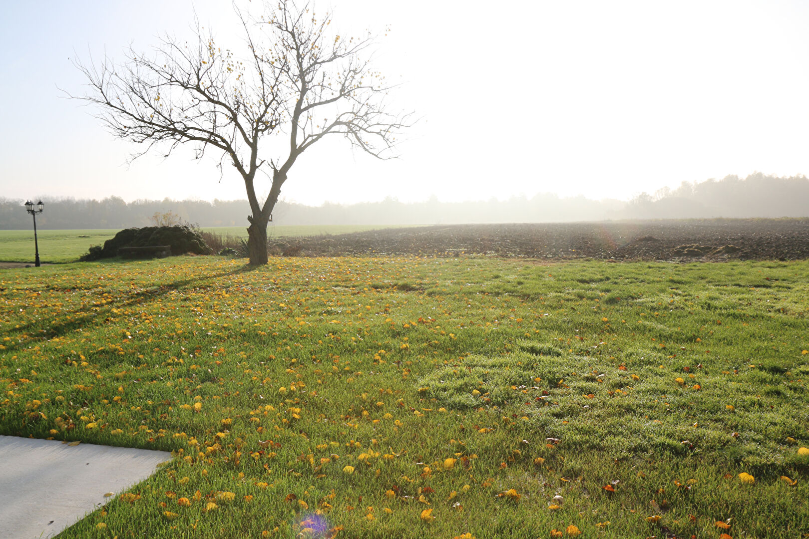 maison plain pied Lambersart