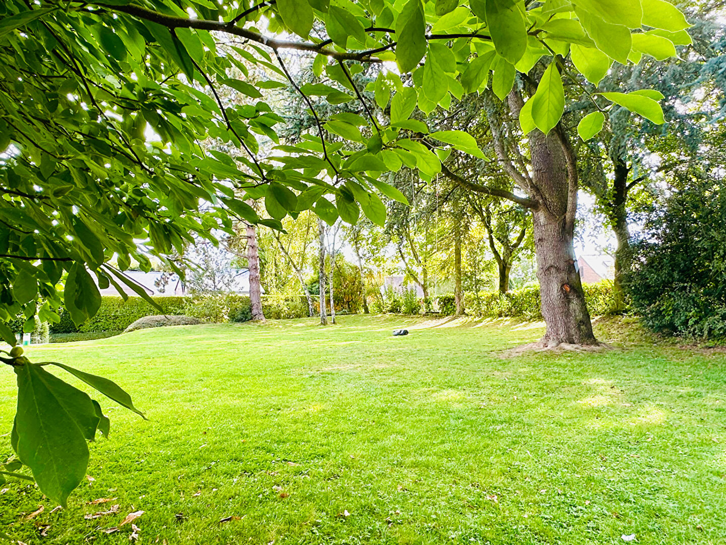 Photo Maison image 6/6