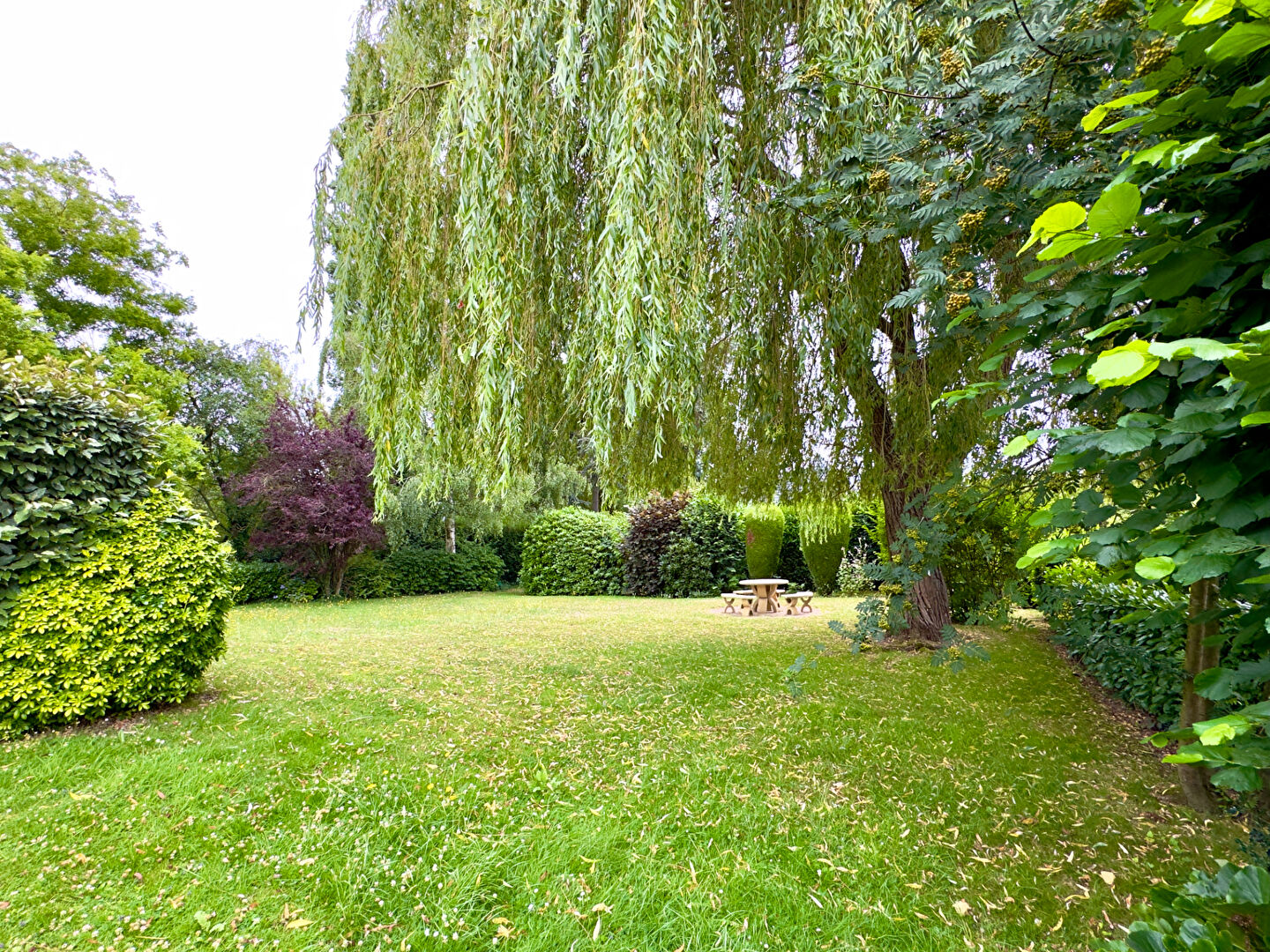 Agence immobilière de Immobilière du Fer à Cheval