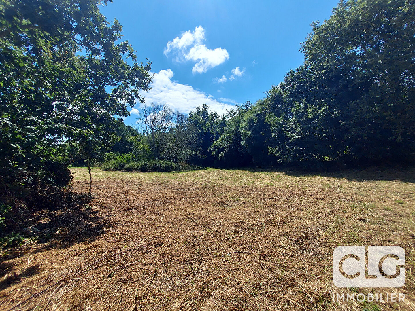 Terrain  2000 m² PLEUVEN