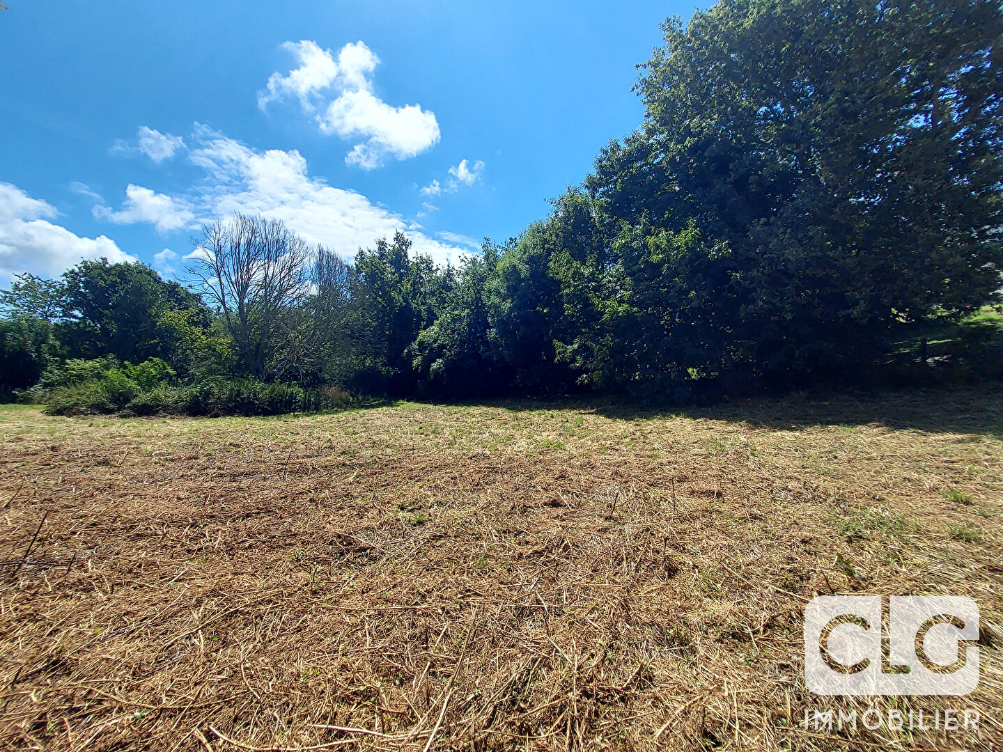 Photo Terrain  2000 m² PLEUVEN image 2/3