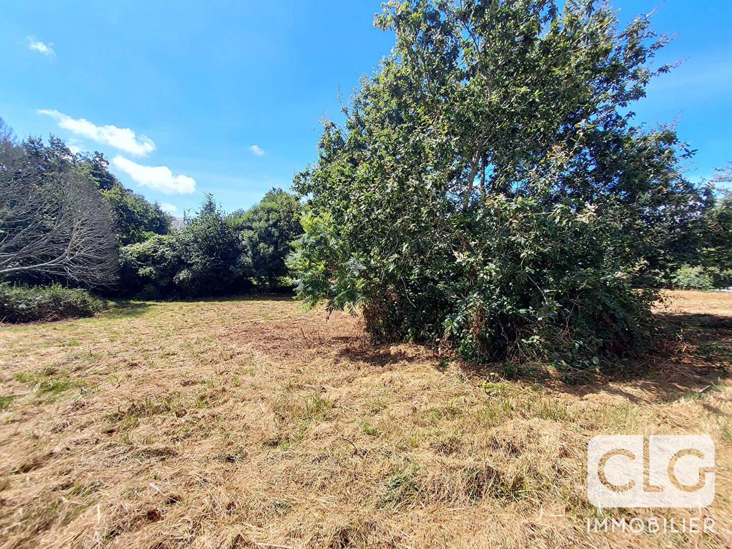 Photo Terrain  2000 m² PLEUVEN image 3/3