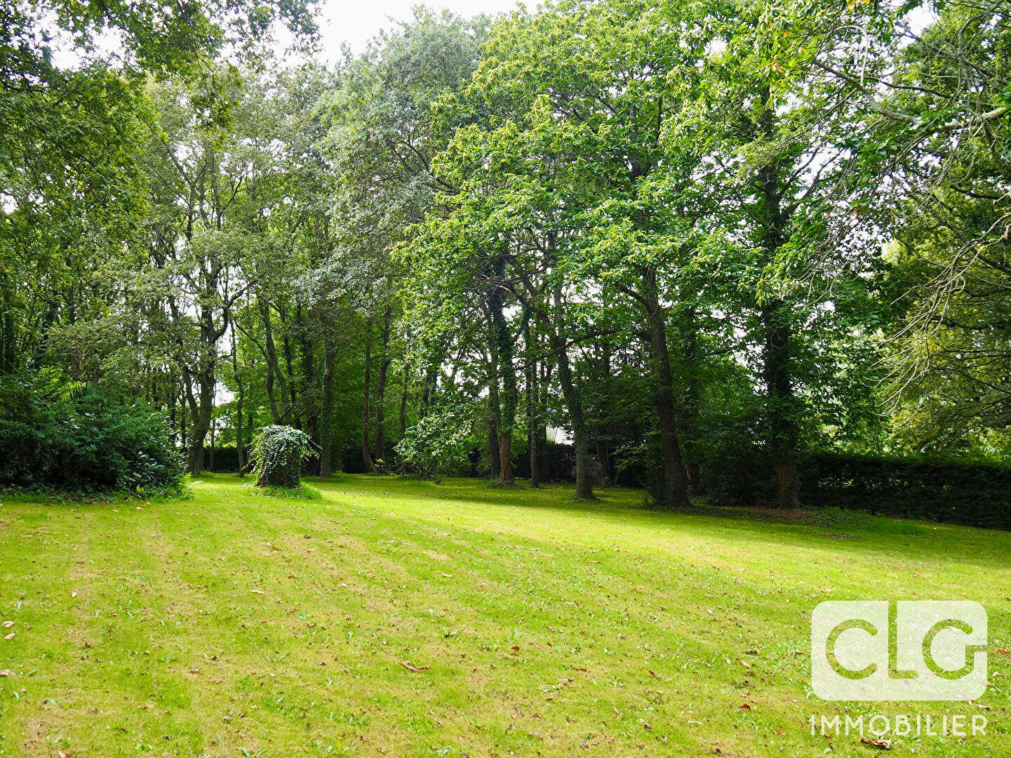 Photo Terrain Fouesnant, non constructible image 2/6