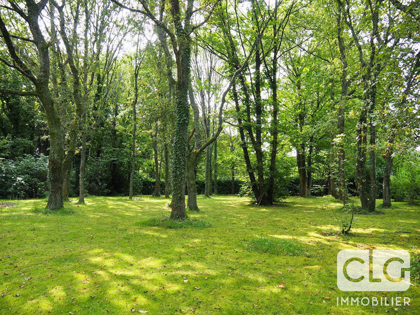 Photo Terrain Fouesnant, non constructible image 3/6