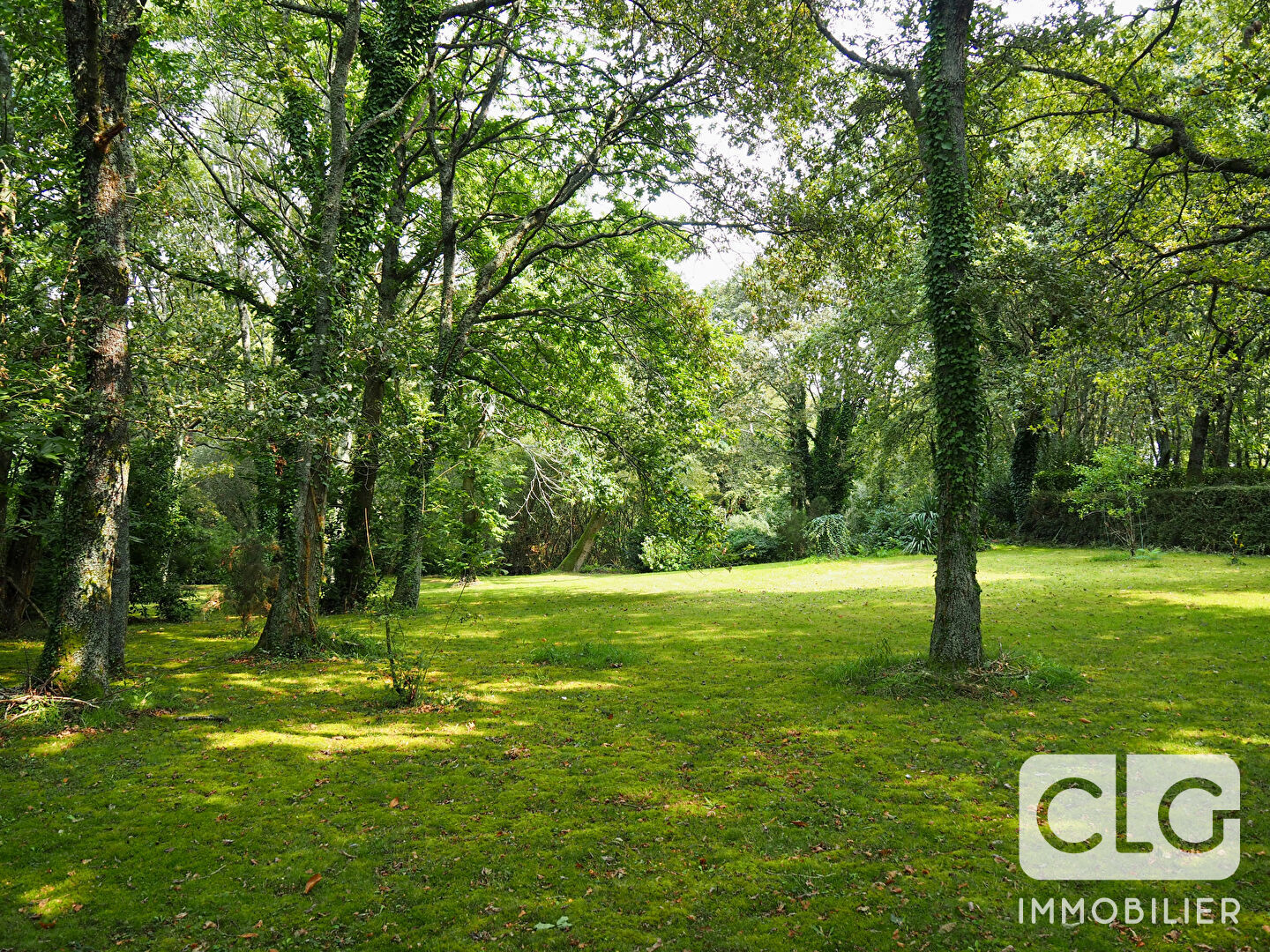 Photo Terrain Fouesnant, non constructible image 4/6