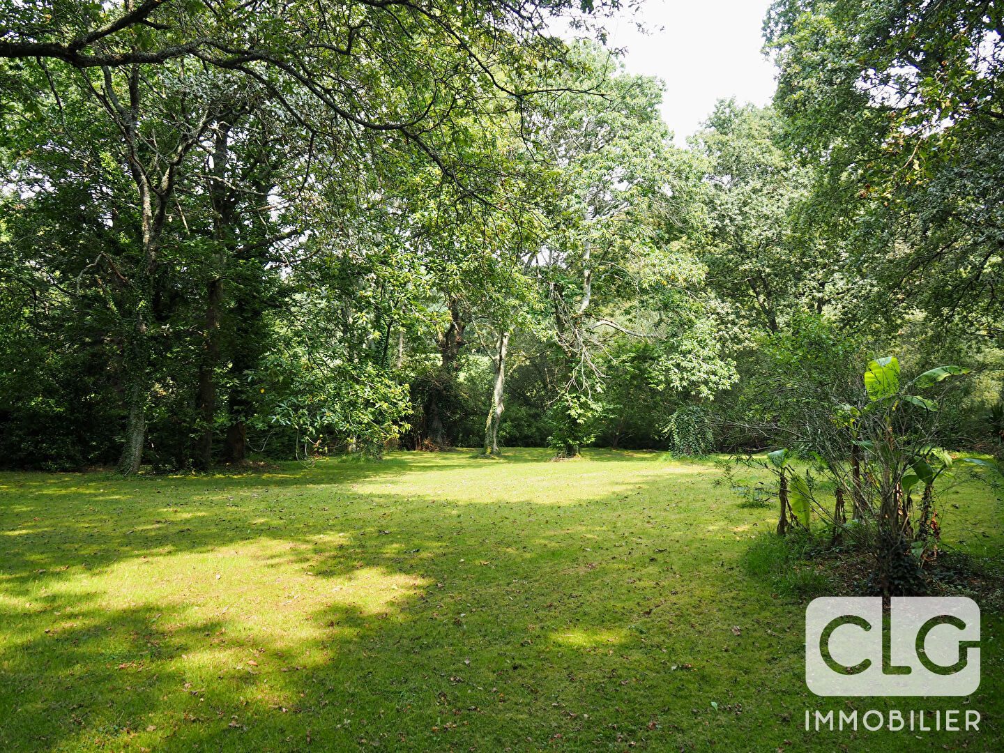 Photo Terrain Fouesnant, non constructible image 5/6