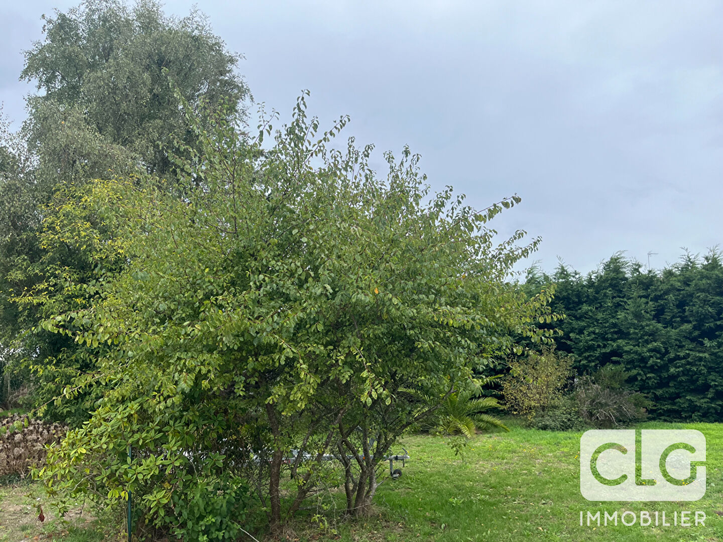 Photo Terrain Trégunc 652 m2 image 4/4