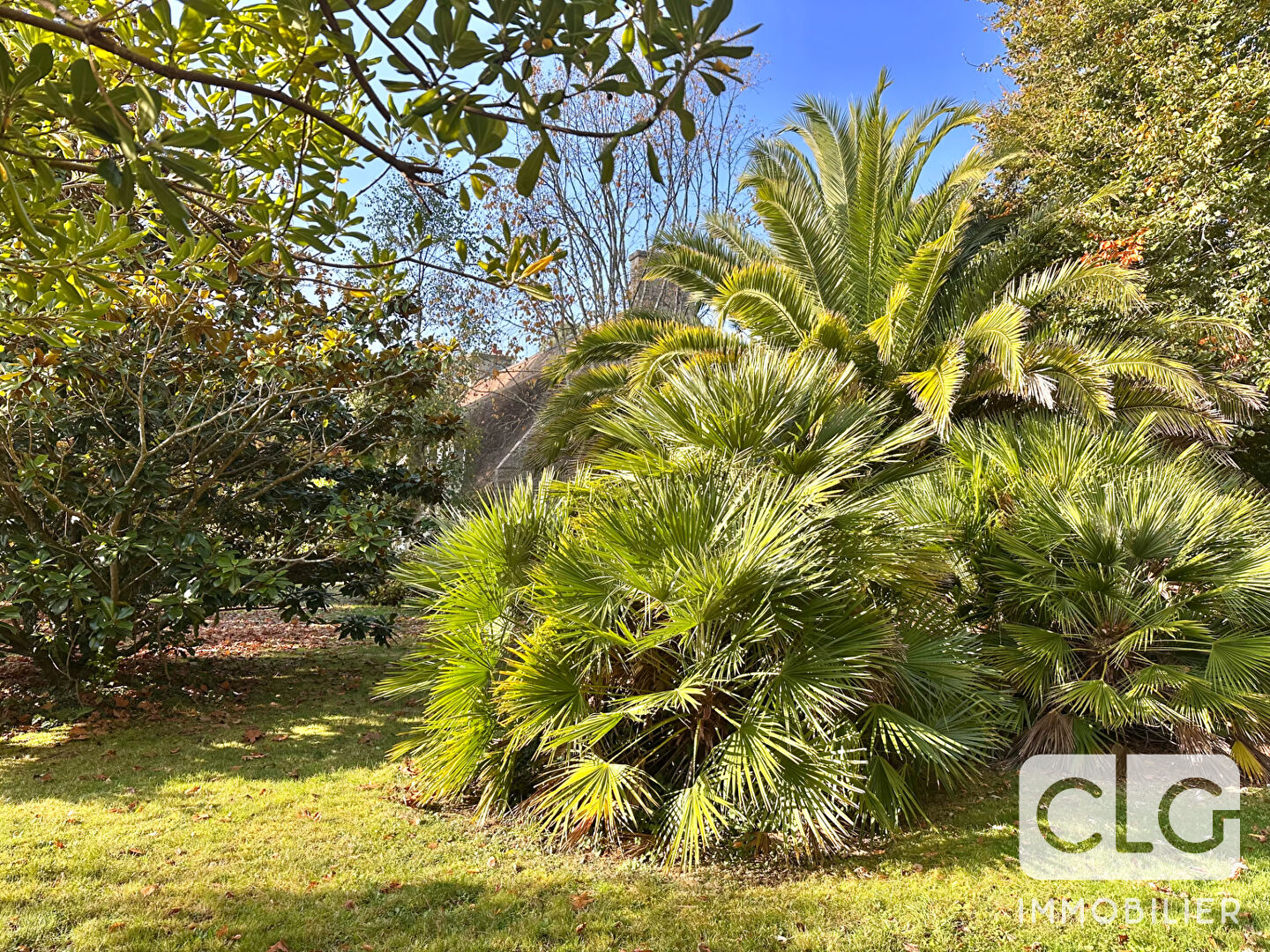 Photo Chaumière 7 pièces à Pont L Abbé image 3/6