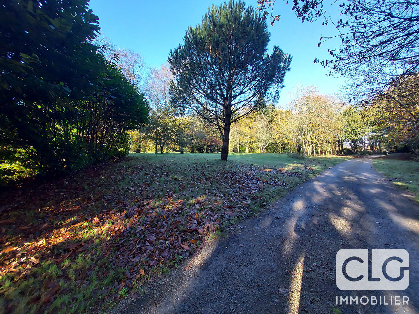 Photo Maison Quimper sur 2 hectares de terrain image 4/6