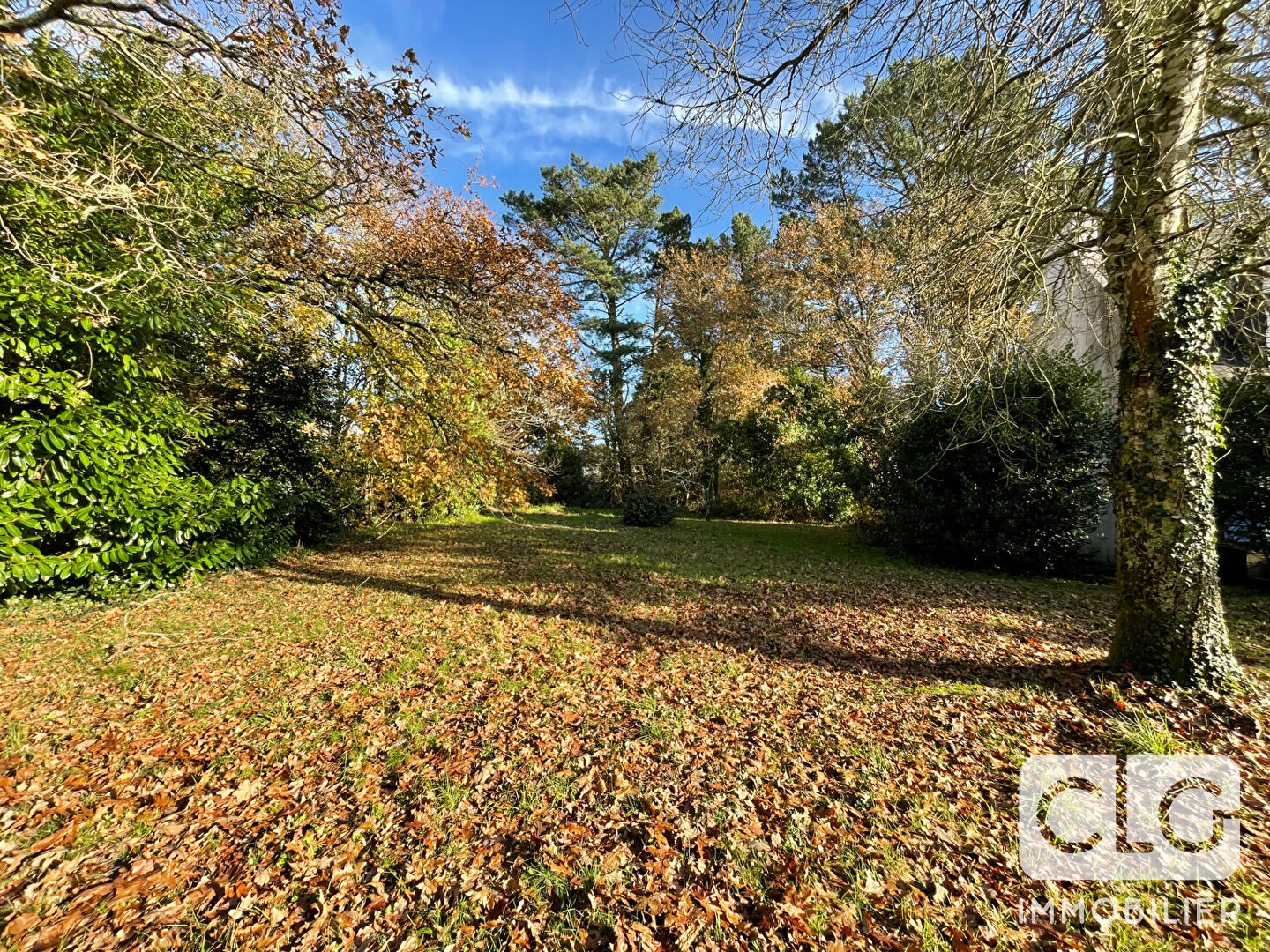 Photo Maison Pont-l'Abbé image 3/6