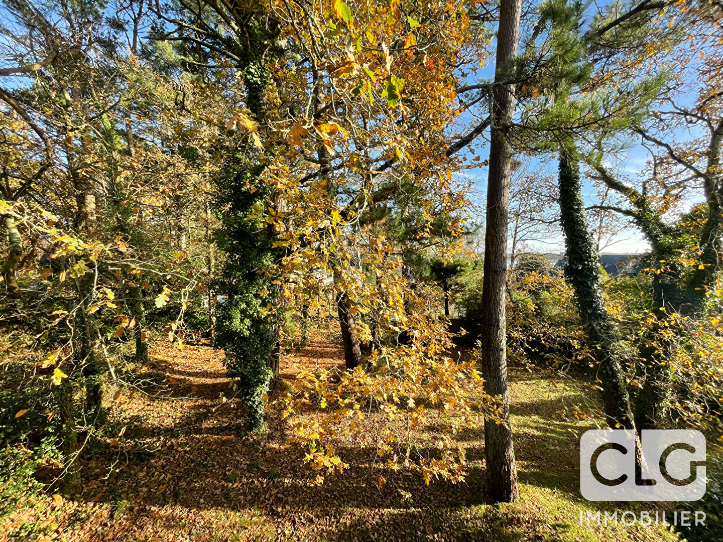 Photo Maison Pont-l'Abbé image 4/6