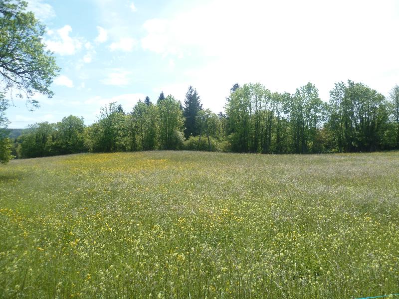 Photo Terrain Dortan image 2/3