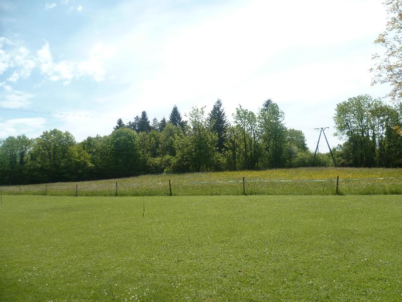 Photo Terrain Dortan image 3/3