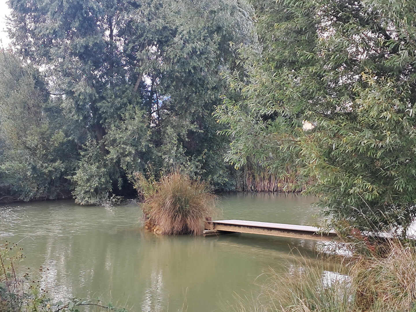 Photo EXCLUSIVITE - Ensemble immobilier avec activité saisonnière. image 5/6