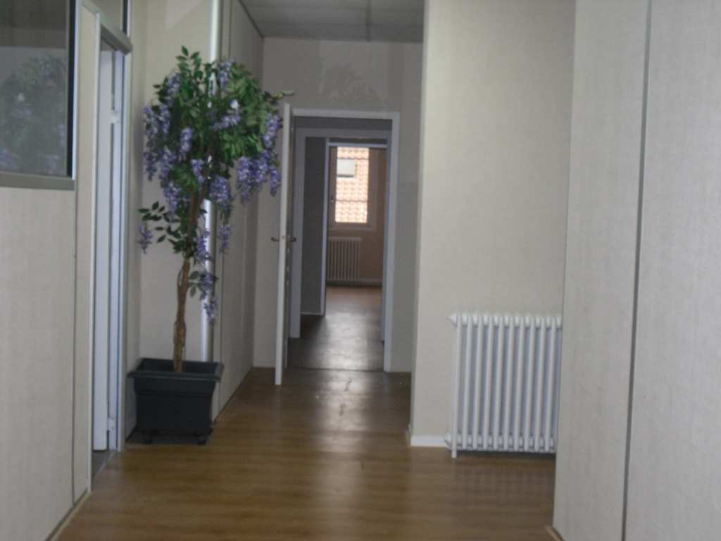 Photo A LOUER A TOULOUSE BUREAUX DE 360M² image 5/5