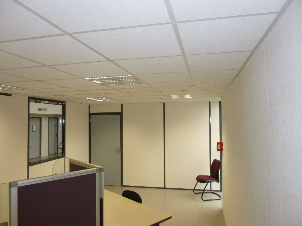 Photo TOULOUSE ZFU  BUREAU TOUT INCLUS  DE 57 M² image 2/6