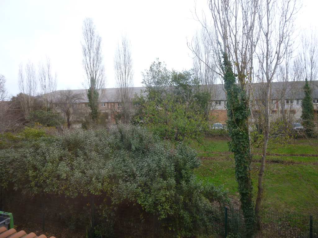 Photo TOULOUSE BUREAUX DE 497 m² image 4/4