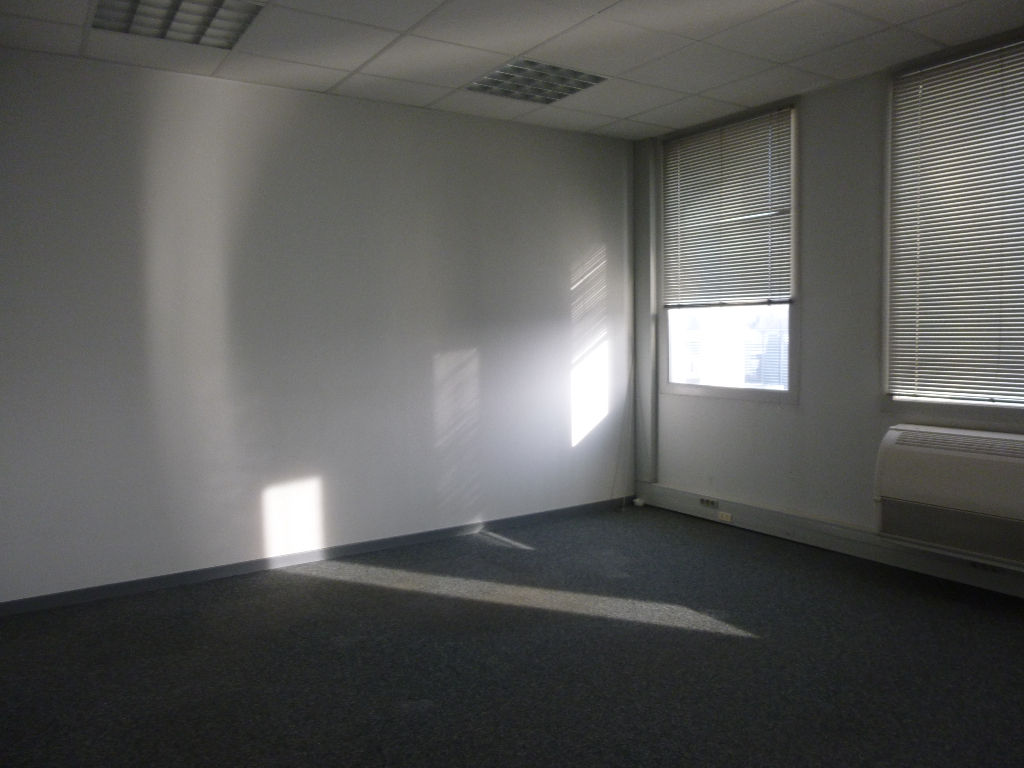 Photo A Louer Toulouse Bureaux de 243 m² image 1/3