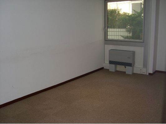 Photo BLAGNAC BUREAUX DE 126 M² image 1/4