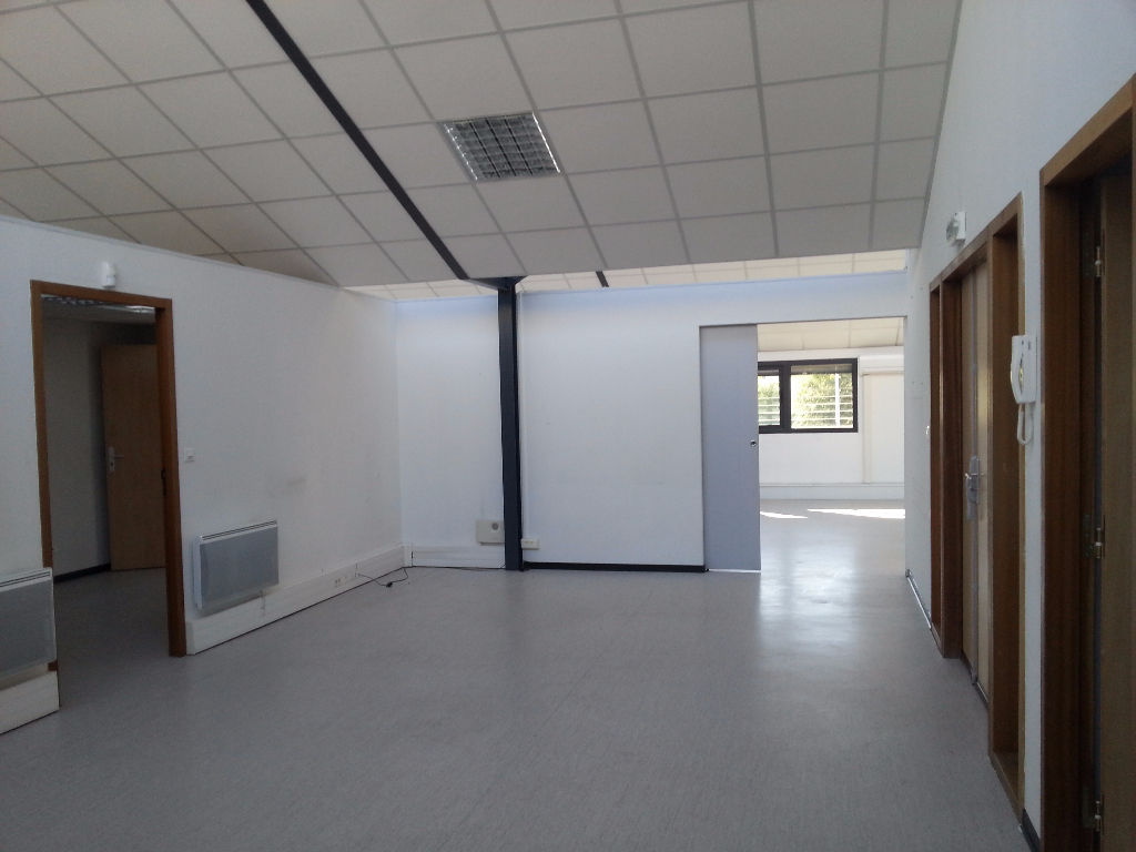 Photo A LOUER TOULOUSE BUREAUX DE 183 M² image 3/6