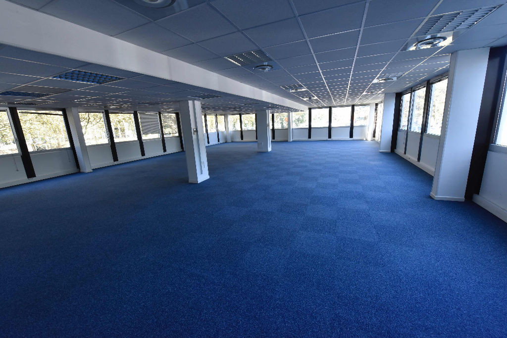 Photo Bureaux Labege 285.65 m2 image 2/6