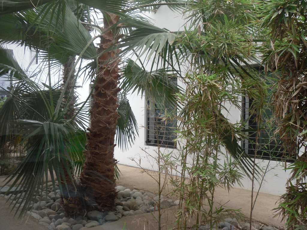 Photo A LOUER TOULOUSE BUREAUX DE 1118  M² image 5/5