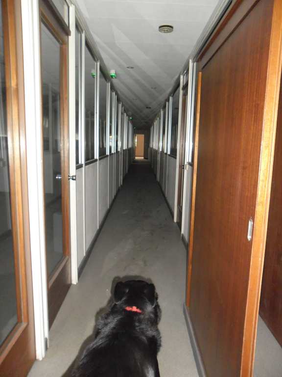 Photo AUCAMVILLE BUREAU DE 230 M² image 6/6