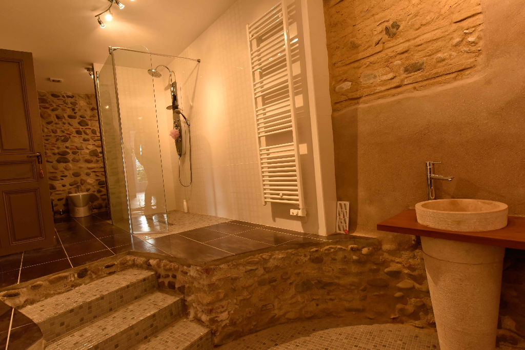 Photo Lavelanet de Comminges maison de 375 m² Habitables image 5/6