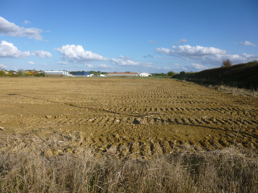 Photo Fontenilles  Terrain Viabilisé de 8000 m2 image 1/2